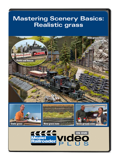 Mastering Scenery Basics: Realistic Grass DVD