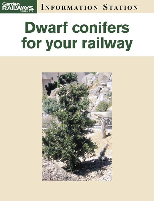 Dwarf conifers for your railway