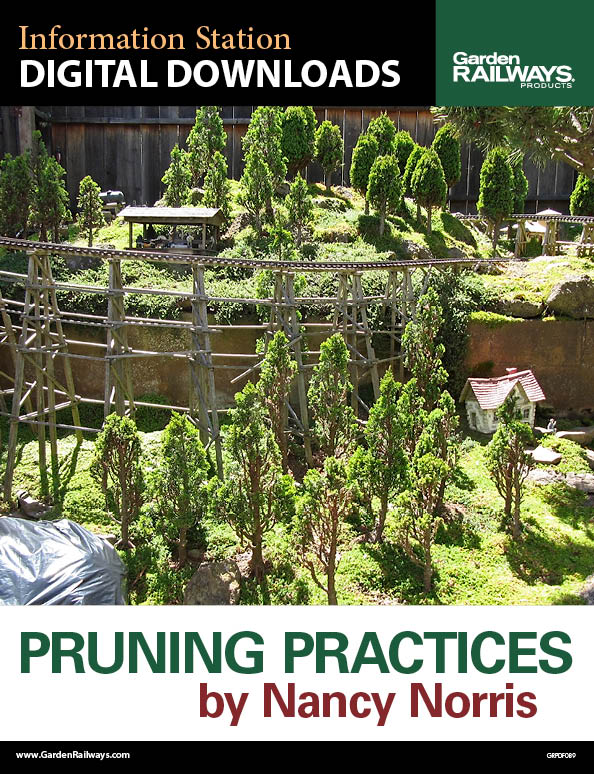 Pruning Practices by Nancy Norris